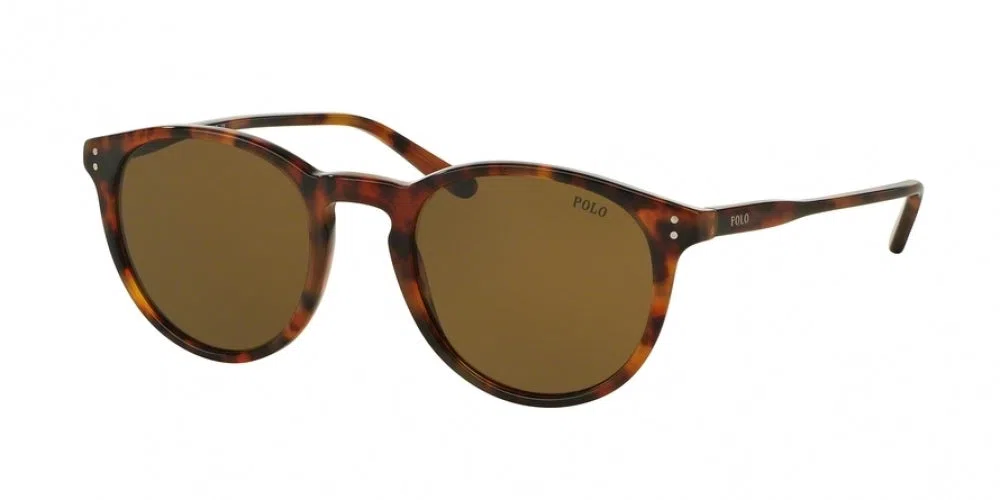 Polo 4110 Sunglasses - view 6